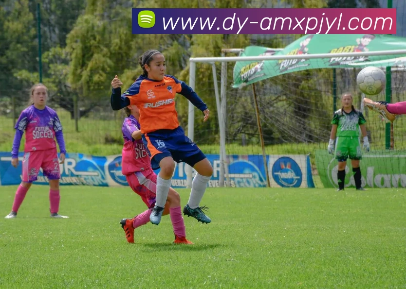 新葡京娱乐服务体系